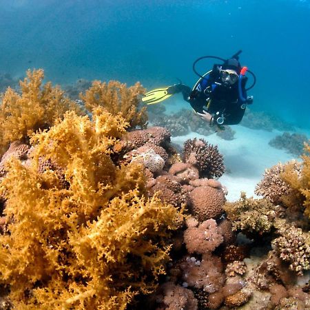 Dive Urge Otel Dahab Dış mekan fotoğraf