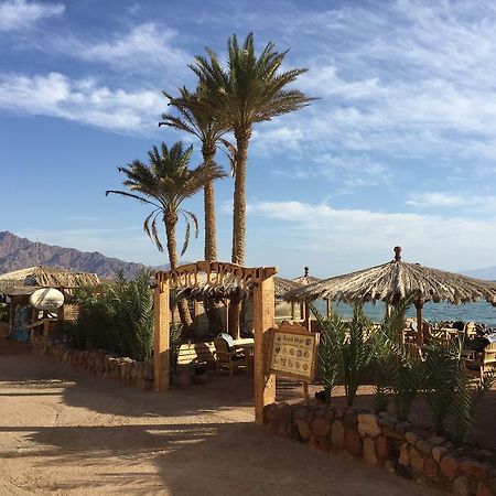 Dive Urge Otel Dahab Dış mekan fotoğraf