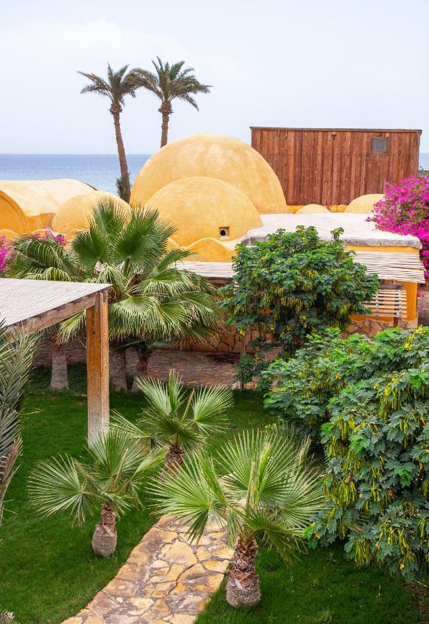 Dive Urge Otel Dahab Dış mekan fotoğraf
