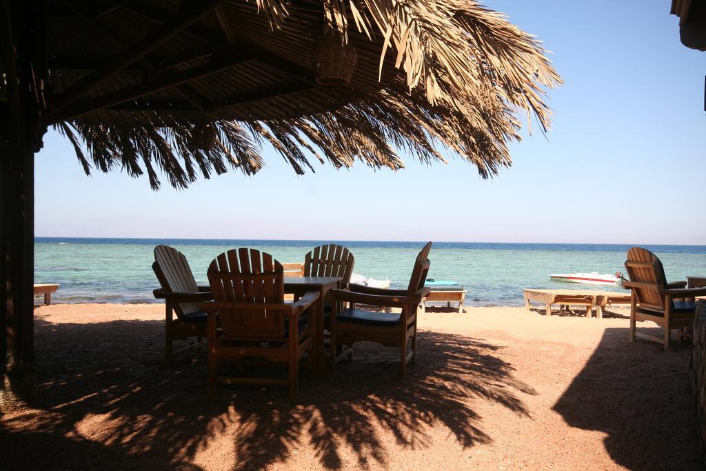 Dive Urge Otel Dahab Dış mekan fotoğraf