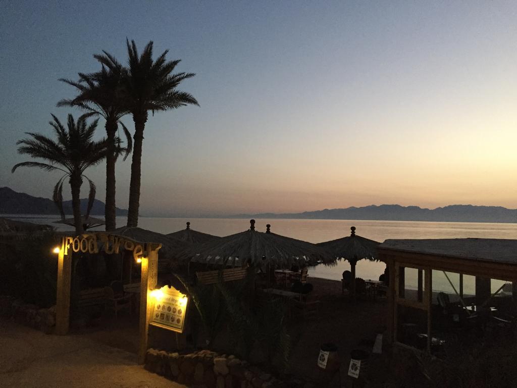 Dive Urge Otel Dahab Dış mekan fotoğraf